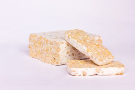 Tempeh Series - Tempeh Series